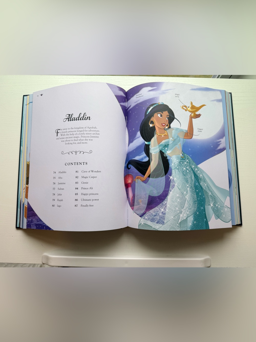 Disney Princess Enchanted Character Guide - Navy Blue and Gold Cover - Picture 3 of 5